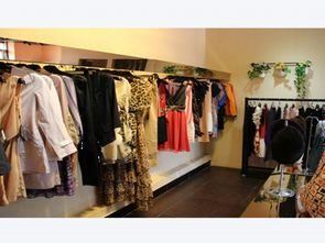 唯佳雅诗服饰 诠释优雅与时尚的杰作——2025春季新品发布